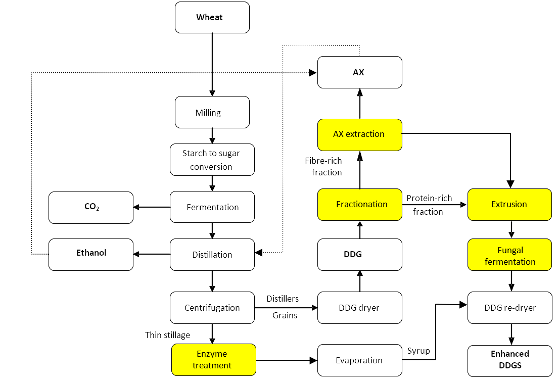 figure illustrates integration (dotted lines) with conventional bioethanol production to produce a novel food ingredient, arabinoxylan (AX)