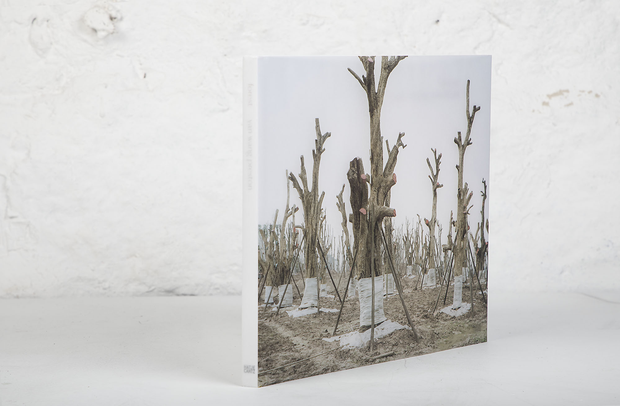 A photo of a book against a white background with trees on the cover.