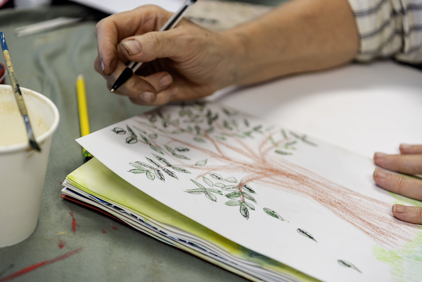 A hand holding a pen over a drawing of a tree