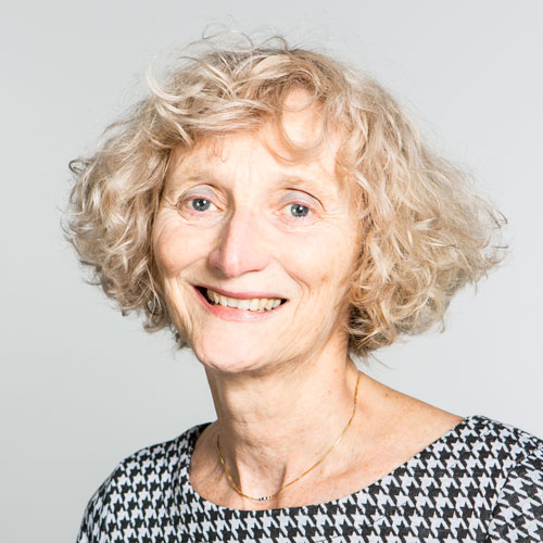 Professor Ann Harris