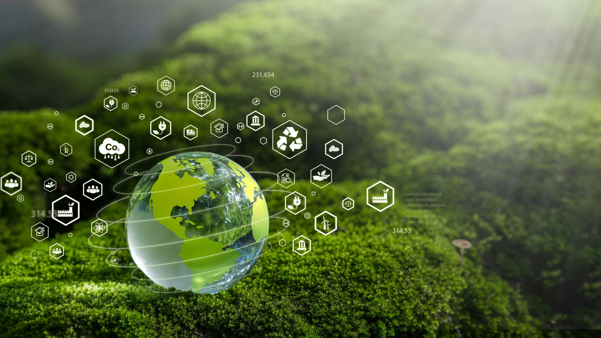 Sustainability globe icon
