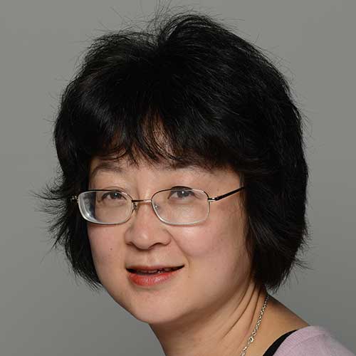 Dr Yun Gao - CUDAS