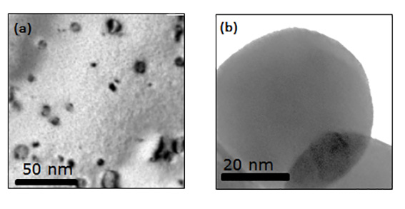 Transmission electron microscopy images of (a) bulk tungsten and (b) tungsten nanoparticles both irradiated with 15 keV He ions at 750°C showing an accumulation of dislocation loops in the bulk whilst there is no presence of dislocation loops in the nanoparticle indicating a greater tolerance to radiation damage accumulation.
