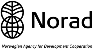 Logo for NORAD