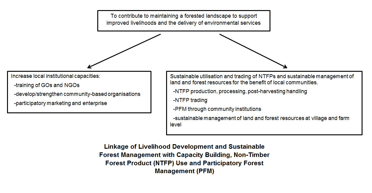 Linkage of Livelihood Development and Sustainable Forest Management with Capacity Building, NTFP Use and PFM