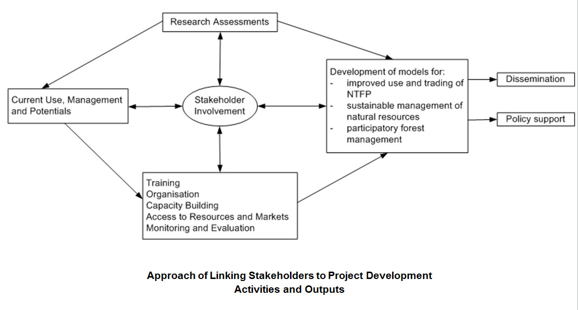Approach of Linking Stakeholders to Project Development Activities and Outputs