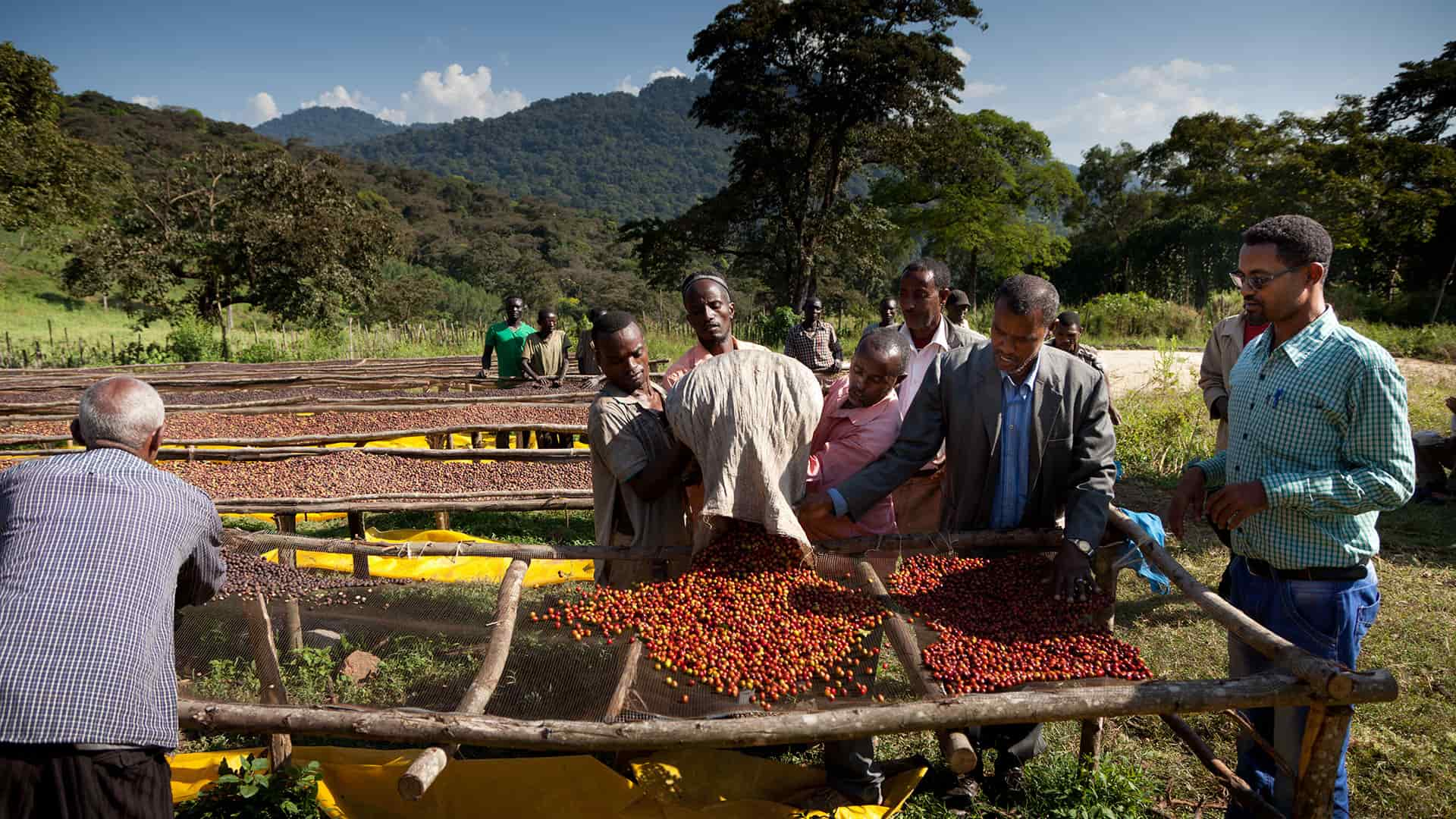 Researchers at Huddersfield Business School analyse the major challenges facing communities around the world related to unsustainable practice and destruction of resources