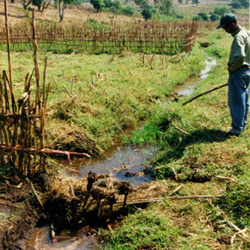 Indigenous knowledge of hydrological processes has led to the development of ditch-blocking practices.