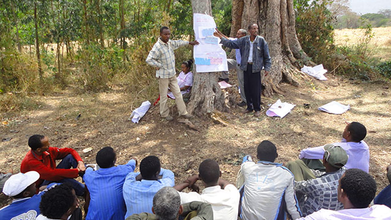 The NTFP-PFM Research and Development Project supported farmers in the improved production of forest products
