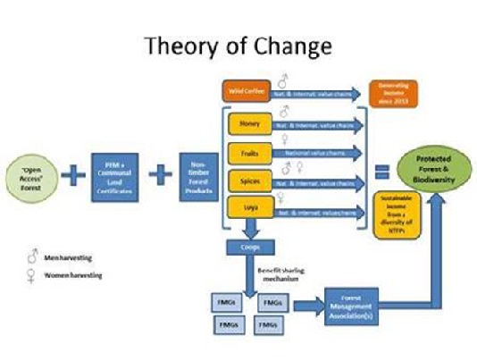 A diagram theory of change for the nftpme subsection