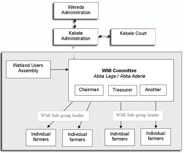A diagram of structure of a wetland management institution in Ethiopia