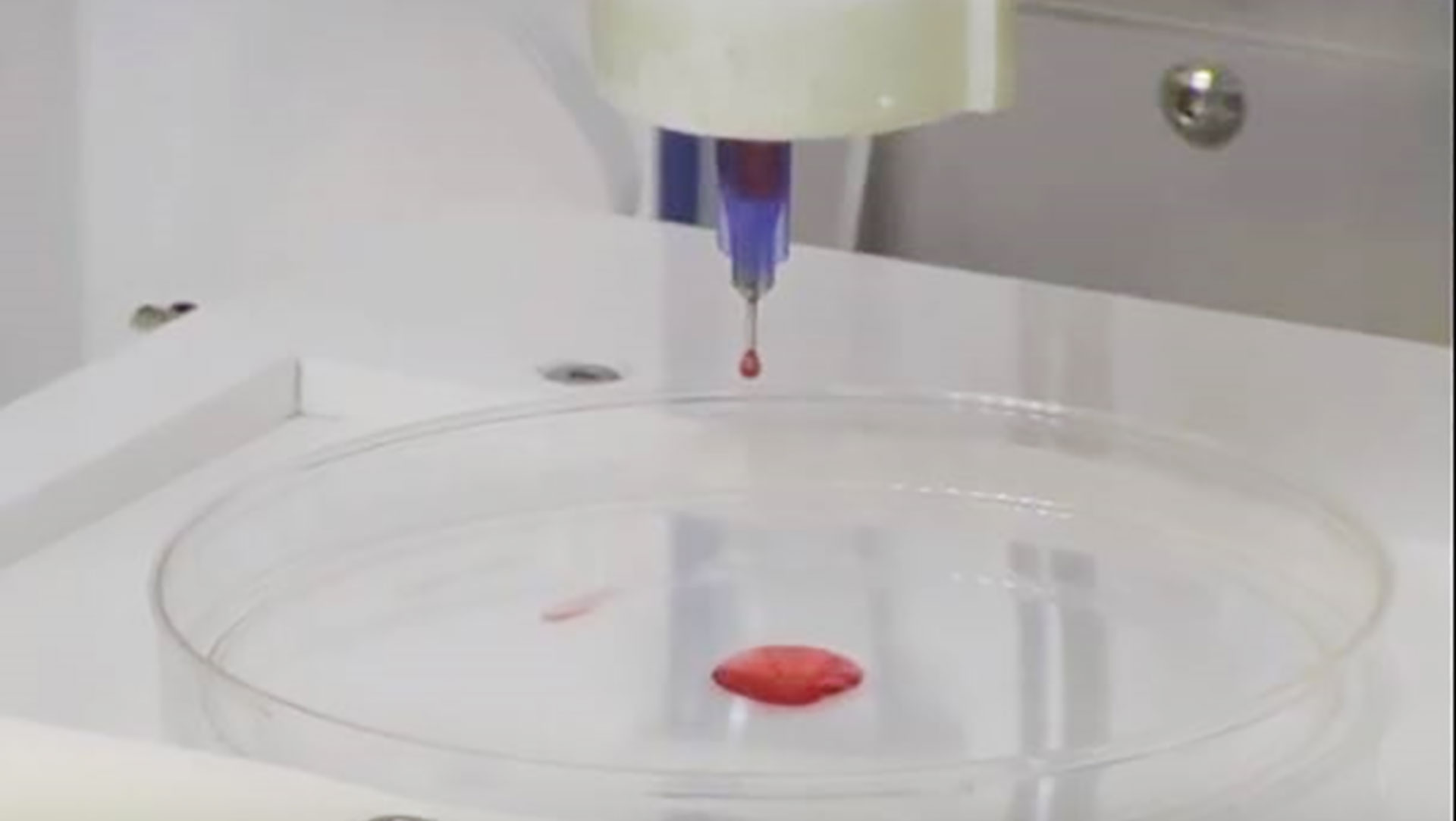 3d printer for biopolymers