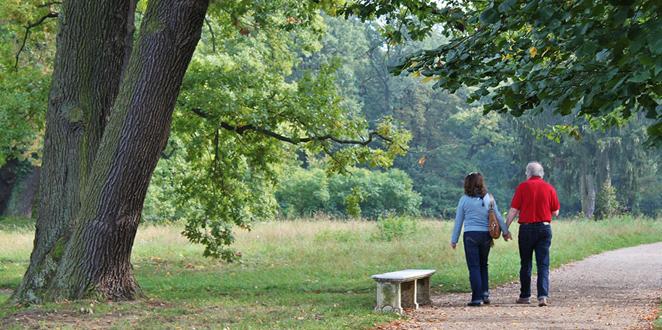 Couple walking through a park holding hands