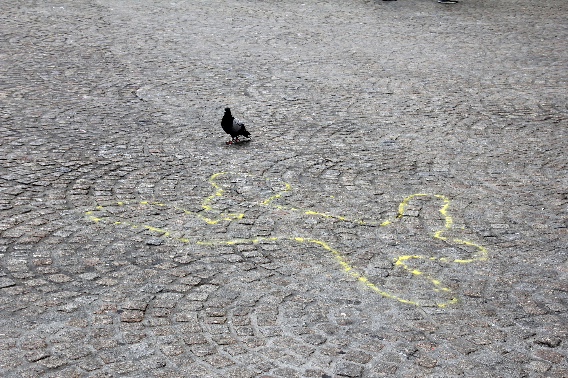 Photo of the outline of a body drawn for forensic purposes